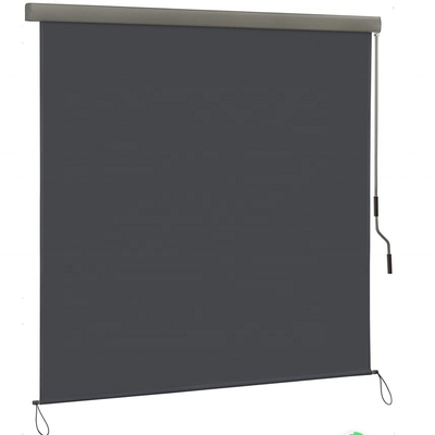 Protection solaire et de la vie privée Blind à rouleaux extensible à l'extérieur avec mécanisme de manivelle à main