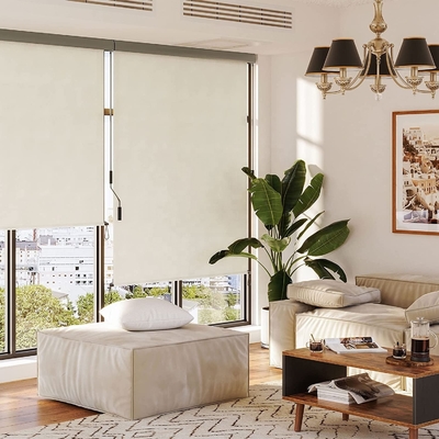 Protéger le soleil et la vie privée au balcon Mécanisme de manivelle à main Vertical Outdoor Roller Blind
