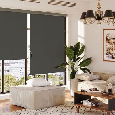 Protéger le soleil et les fenêtres du balcon avec des auvents verticaux de 160*250 cm